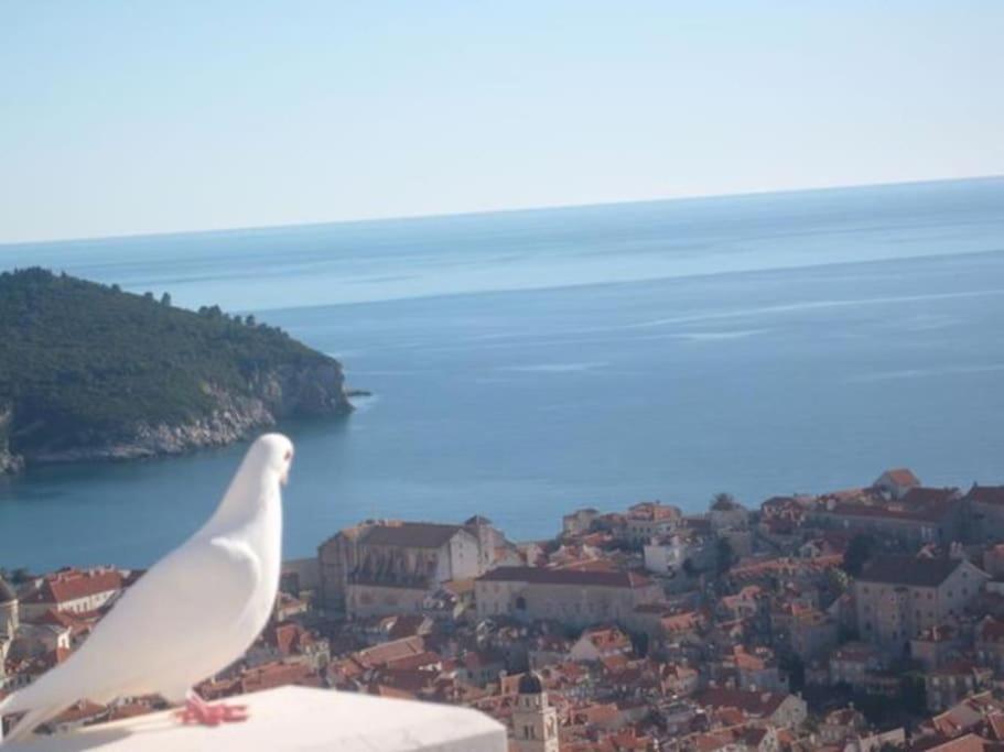 Romantic Ap,With Amazing View Dubrovnik Buitenkant foto